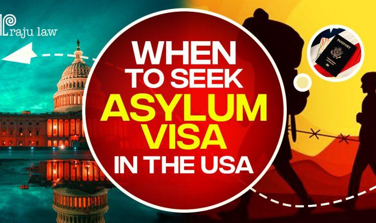 When to Seek Asylum Visa in the USA